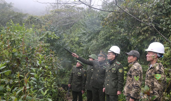 Lào Cai: Thầm lặng những người lính gác rừng
