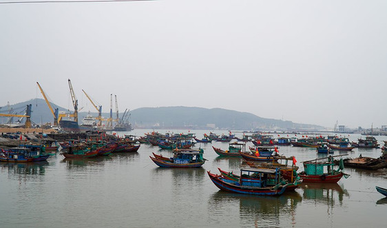 Thanh Hóa: Đẩy mạnh công tác bảo vệ nguồn lợi thủy sản vùng ven biển