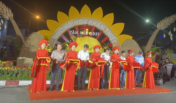 Nova Group tài trợ đường hoa tại TP.HCM, Phan Thiết và Biên Hòa	