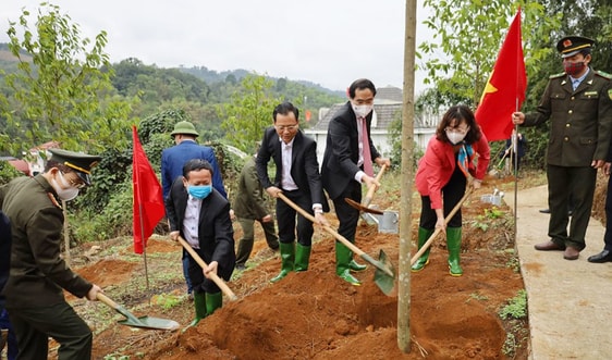 Lào Cai: Phát động “Tết trồng cây - Đời đời nhớ ơn Bác Hồ” Xuân Tân Sửu 2021