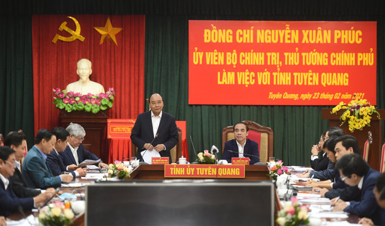Thủ tướng: Tuyên Quang phải trở thành cứ điểm quan trọng của ngành gỗ Việt Nam