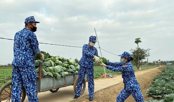 BTL Vùng Cảnh sát biển 1 hỗ trợ tiêu thụ nông sản cho bà con nông dân huyện Vĩnh Bảo