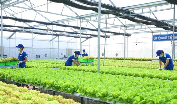 Quảng Ninh mở lại các hoạt động du lịch nội tỉnh