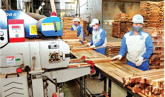 Tuyên Quang phấn đấu là điển hình về phát triển kinh tế lâm nghiệp