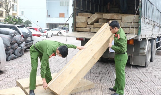 Hà Tĩnh: Bắt giữ xe tải vận chuyển gỗ không rõ nguồn gốc