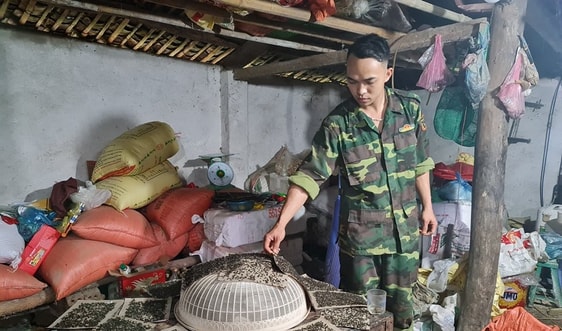 Cao Bằng: Người dân “kêu cứu” vì bị ruồi nhặng “bủa vây”