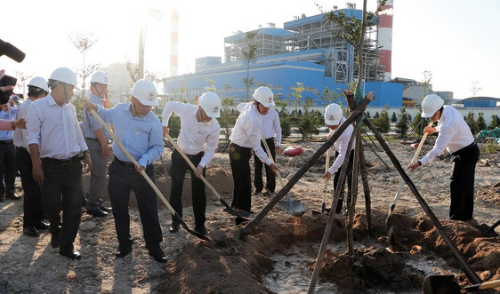Phát động phong trào “Tết trồng cây" tại Công ty Nhiệt điện Vĩnh Tân