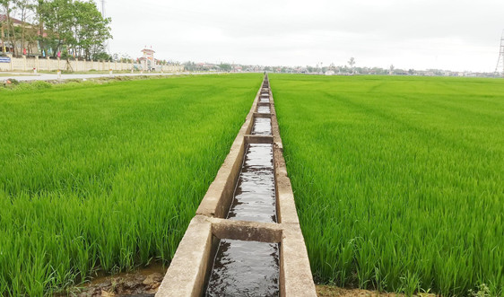 Thừa Thiên Huế: Chủ động nguồn nước tưới vụ Đông Xuân 2020 – 2021