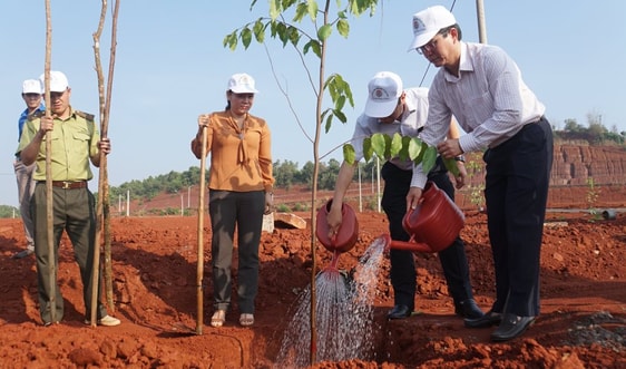 Đắk Nông: Phát động chương trình trồng 1 tỷ cây xanh