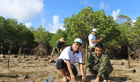 Bà Rịa - Vũng Tàu: Bảo vệ vùng đất ngập nước, phát triển bền vững đa dạng sinh học