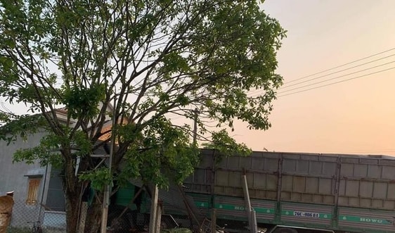 Quảng Ngãi: Xe chở gỗ dăm lao thẳng vào nhà dân bên đường