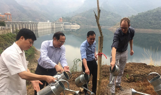 Thủy điện Sơn La trồng cây bảo vệ, phát triển nguồn sinh thủy