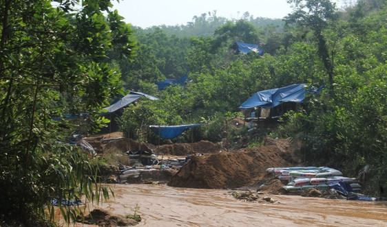 Quảng Nam: Đột kích mỏ vàng Bồng Miêu, đẩy đuổi hơn 100 phu vàng