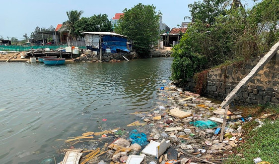 Rác thải “bức tử” môi trường cảng cá Sa Kỳ (Quảng Ngãi)
