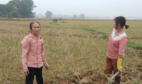Huyện Điện Biên: Dồn điền đổi thửa – giải pháp nâng cao năng suất cây trồng