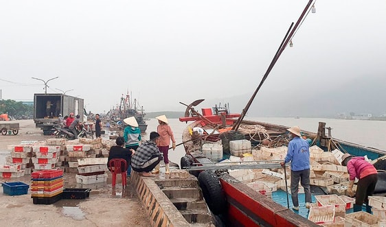 Thanh Hóa: Tăng cường quản lý hoạt động khai thác hải sản