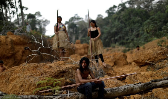 Tháng 4/2021: Diện tích rừng Amazon tại Brazil bị tàn phá tăng 43% so với cùng kỳ năm 2020