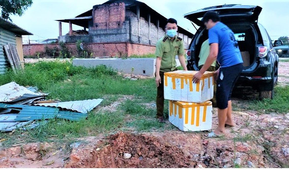 Quảng Ninh: Chặn đứng 100 kg xúc xích chuẩn bị đưa ra thị trường