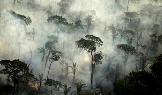  Cảnh báo cháy rừng nghiêm trọng tại Amazon và Pantanal ở Brazil