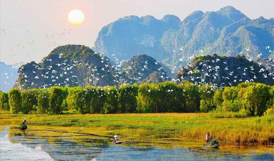 Hướng tới thập kỷ phục hồi hệ sinh thái tại Việt Nam