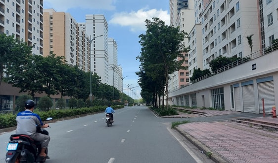  Văn phòng cho thuê trước bước ngoặc đại dịch Covid-19