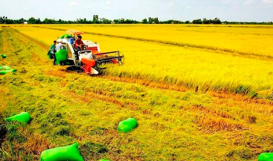 Phát huy nguồn lực đất đai cho phát triển bền vững đất nước