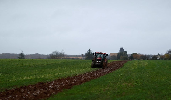 EU thông qua thoả thuận cải cách trợ cấp nông nghiệp