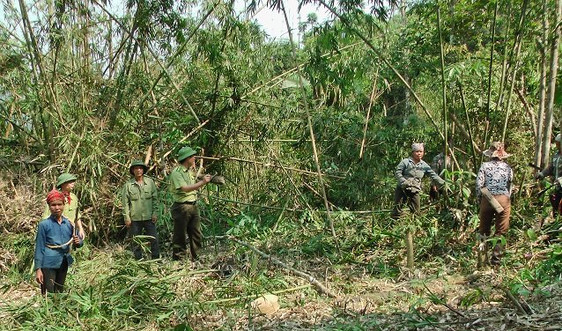 Thành lập BQL Dự án “Quản lý rừng bền vững và bảo tồn đa dạng sinh học” tỉnh Thanh Hóa