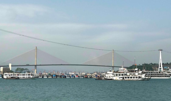 Quảng Ninh tạm ngừng cấp phép cho các phương tiện thủy ra khơi từ 13h ngày 7/7