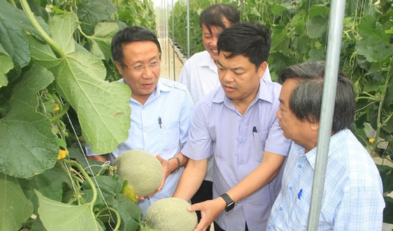 Quảng Trị sẽ có huyện nông thôn mới kiểu mẫu đầu tiên trước năm 2025