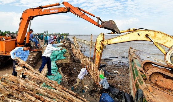 Cà Mau: Huy động mọi nguồn lực để ứng phó với tình trạng sạt lở bờ biển