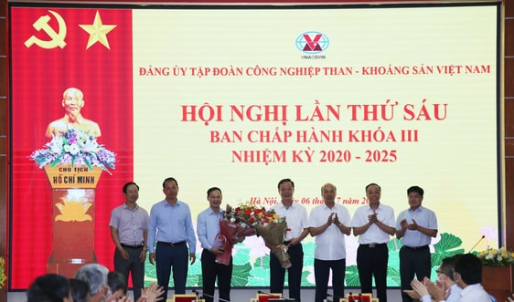 Hội nghị lần thứ 6 Ban Chấp hành Đảng bộ Tập đoàn TKV khoá III, nhiệm kỳ 2020 - 2025