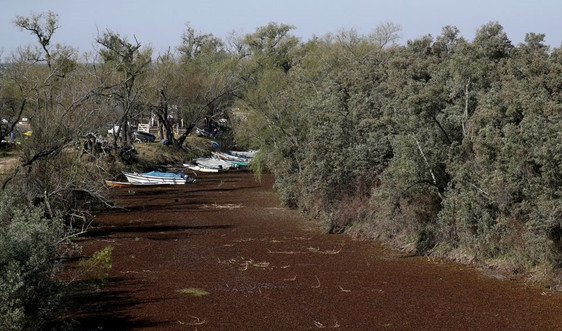 Mực nước sông Parana ở mức thấp nhất 77 năm, Argentina kêu gọi tiết kiệm nước