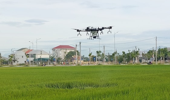 Áp dụng công nghệ phun thuốc bảo vệ thực vật bằng máy bay không người lái 
