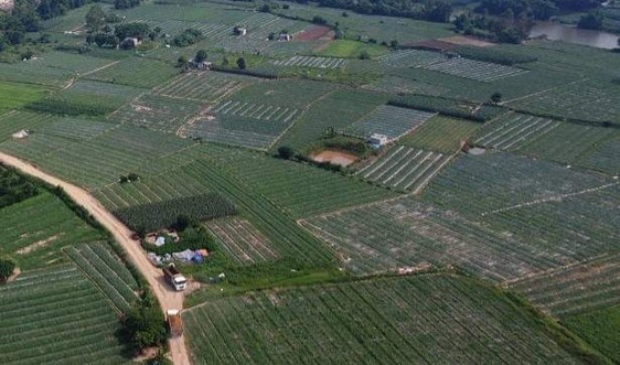 Lạng Sơn: Chỉ đạo công bố công khai quy hoạch sử dụng đất