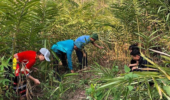 Điện Biên: Các chủ rừng sử dụng hiệu quả nguồn tiền từ dịch vụ môi trường rừng 