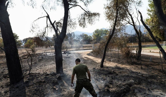 Hơn 500 vụ cháy rừng ở Hy Lạp, hàng nghìn người phải sơ tán