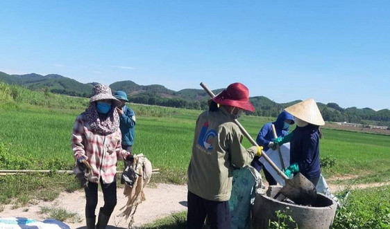 Mục sở thị cách làm “sạch từ nhà ra đồng ruộng” ở Anh Sơn, Nghệ An
