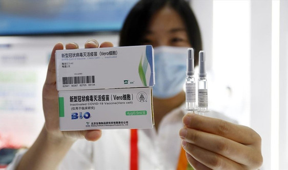 Hải Phòng: Chuẩn bị tiêm 500.000 liều vắc xin Sinopharm  mũi 1 miễn phí
