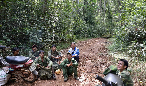 Đồng bào dân tộc thiểu số huyện Kông Chro bảo vệ rừng ứng phó biến đổi khí hậu