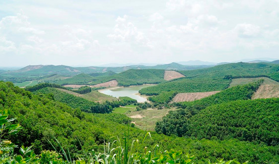 Thanh Hóa: Phê duyệt Phương án quản lý rừng bền vững giai đoạn 2021 - 2030 tại huyện miền núi Như Thanh