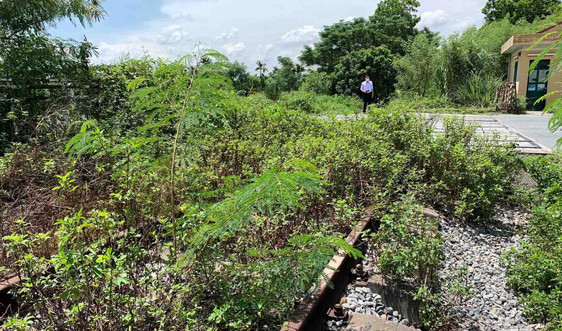 Quảng Ninh: Tuyến đường sắt chuyên dụng “đắp chiếu” nhiều năm, gây lãng phí hàng chục ha đất