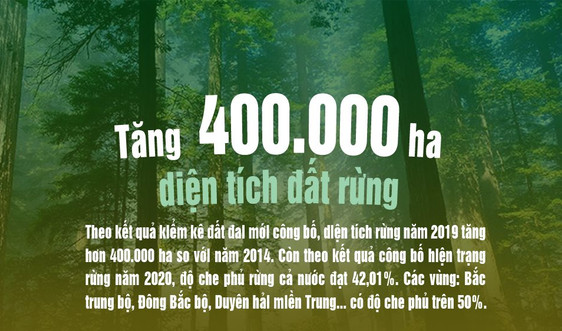 Infographic: Cả nước tăng 400.000 ha diện tích đất rừng so với năm 2014