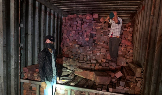 Quảng Trị: Bắt vụ buôn lậu gỗ và đá quý hiếm quy mô hàng chục tỷ đồng