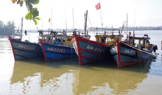 Quảng Nam: Bộ đội biên phòng phát hiện 4 tàu giã cào khai thác trái phép
