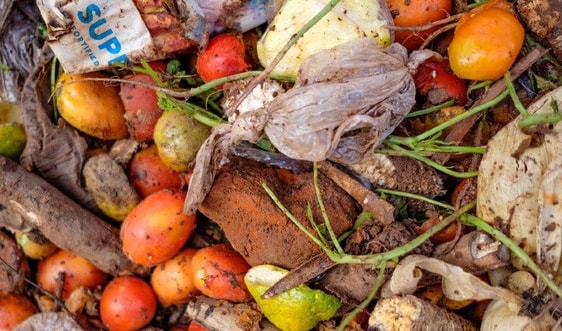 Nỗi lo từ rác thải thực phẩm 