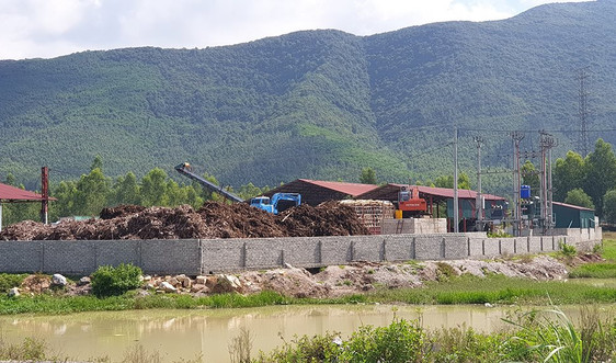 Dự án Nhà máy sản xuất nông - lâm sản Vinh Nhất (Thanh Hóa): Phát hiện hàng loạt sai phạm