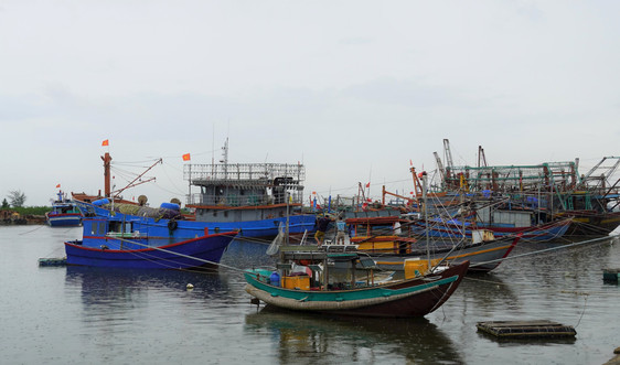 Quảng Trị: Nghiêm cấm tàu thuyền ra khơi từ 12/10 để ứng phó bão số 8