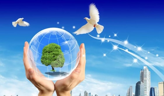 Kinh doanh bền vững: Cần thay đổi tư duy người đứng đầu