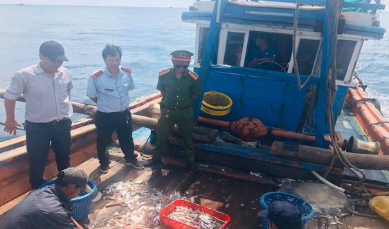 Bình Định: Xử phạt hơn 342 triệu đồng về hành vi khai thác thủy sản bất hợp pháp 
